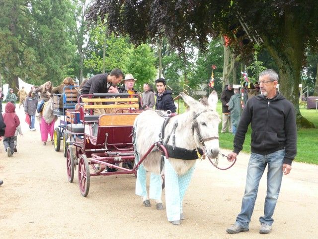 rodho 2013 (63).jpg